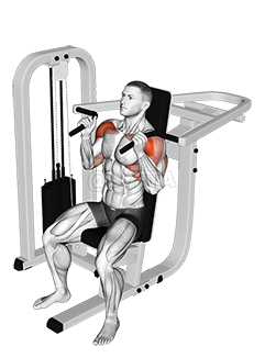 Lever Seated Hammer grip Shoulder Press demonstration