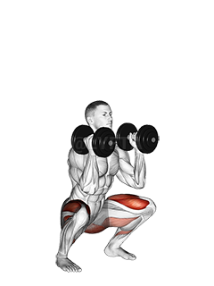 Dumbbell የፊት Squat demonstration