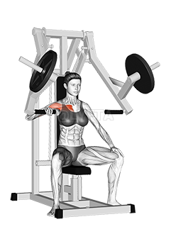 Lever One Arm Chest Press demonstration