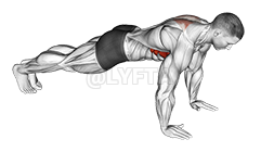 Scapula Push-up demonstration