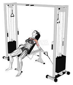 Cable Inclina Mosca rehegua demonstration