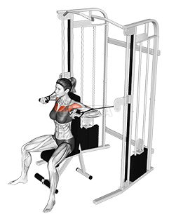 Cable Seated Chest Press demonstration
