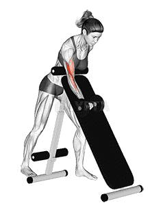 Dumbbell Standing One Arm Curl demonstration