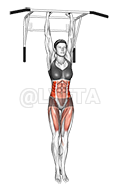 Elevación de rodilla oblicua colgante demonstration