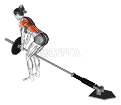 Lever Bent over Row demonstration