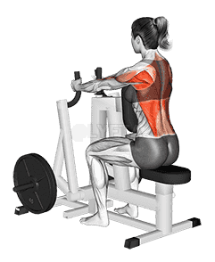 Lever Narrow Grip Seated Row demonstration