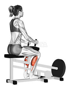 Lever Seated Calf Raise demonstration