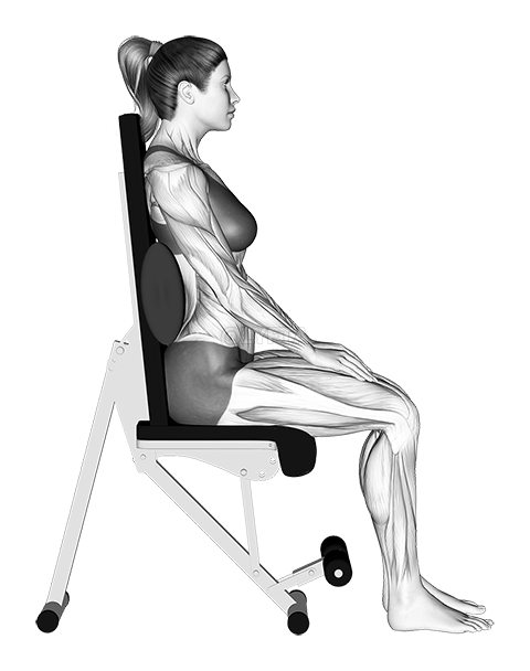 Static Position Seated Back with Pad demonstration