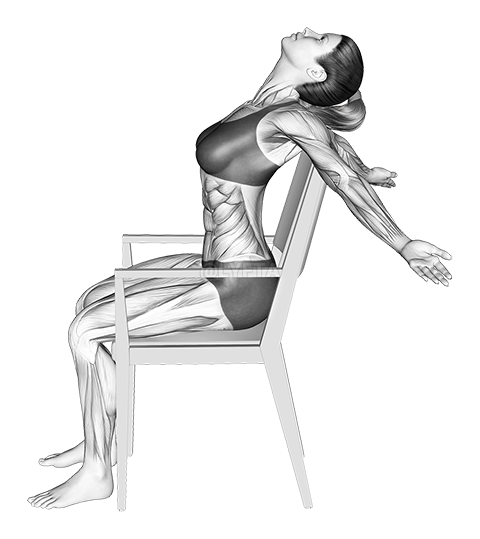 Static Position Seated Back demonstration