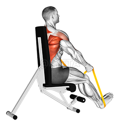 Resistance Band Seated Straight Back Row demonstration