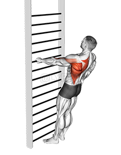 Bodyweight Standing One Arm Row demonstration