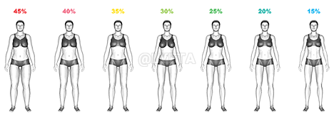 Body Fat Percentage demonstration