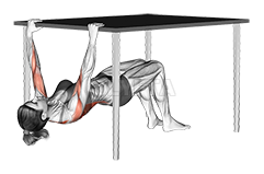 Inverted Row Bent Knee under Table demonstration