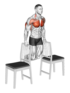 Dips between Chairs demonstration