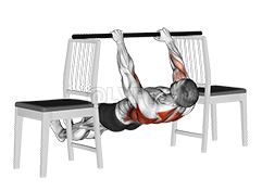 Inverted Row between Chairs demonstration