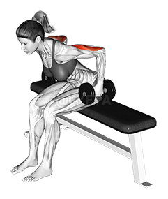 Dumbbell Seated Kickback demonstration