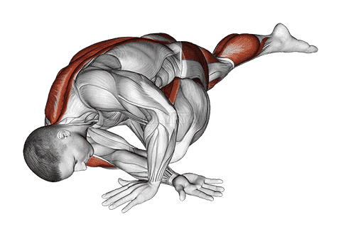 Lying Leg Tuck Hip Back Stretch demonstration