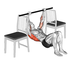 Inverted Row with Bent Knee between Chairs demonstration
