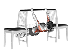 Inverted Row between Chairs demonstration