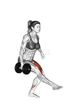 The Dumbbell Front Squat 