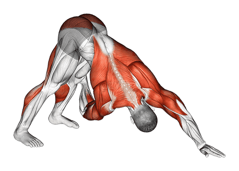 Downward Facing Dog Spine Mobility demonstration