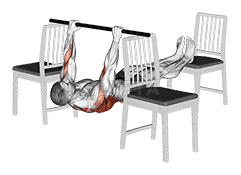 Elevanted Inverted Row between 3 Chairs demonstration