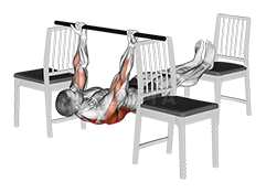 Elevanted Inverted Underhand Grip Row between 3 Chairs demonstration