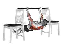 Inverted Underhand Grip Row between Chairs demonstration