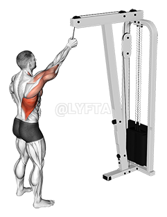 Straight-arm pulldowns - Exercises, workouts and routines