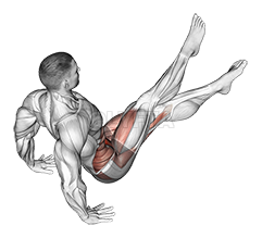 Leg Raise Hip Lift - Video Guide