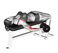 Dumbbell Lying Supine Curl demonstration