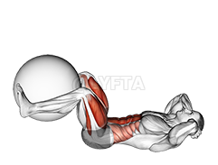 Leg Extension Crunch demonstration