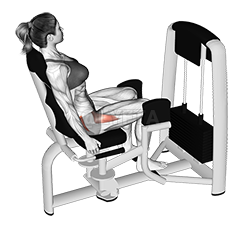 Lever Seated Hip Abduction demonstration