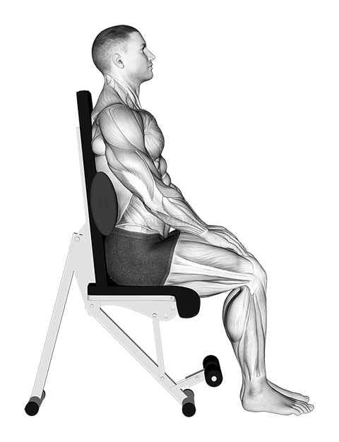 Static Position Seated Back with Pad demonstration