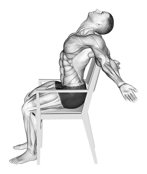 Static Position Seated Back demonstration