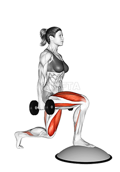 Dumbbell Split Squat Front Foot Elevanted with Bosu Ball demonstration