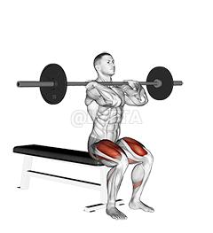 Barbell Front Bench Squat demonstration