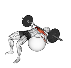 Barbell Chest Press on Stability Ball demonstration