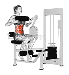 Lever Seated Crunch demonstration