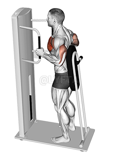 Lever Standing Chest Press demonstration