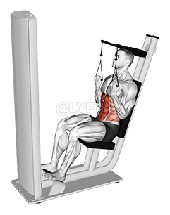 Lever Seated Crunch demonstration