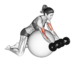 Dumbbell Preacher Curl over Exercise Ball demonstration