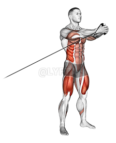 Band Squat with Horizontal Pallof Hold demonstration