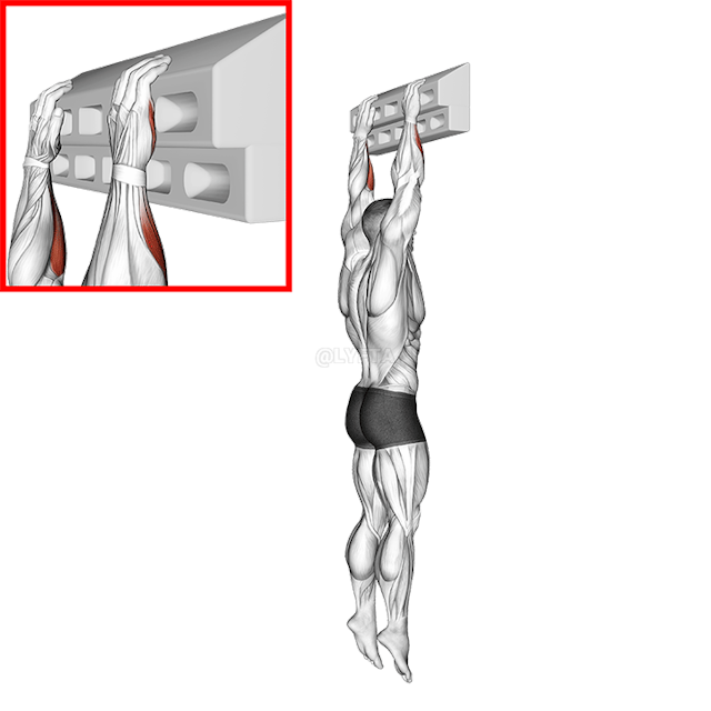 Handboard Slope Hang demonstration