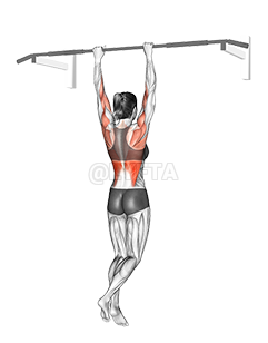 Seated Pull-up between Chairs