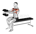 Dumbbell Seated Upright Alternate Squeeze Press demonstration