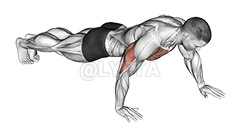 Pike Push up - Video Guide