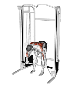 Cable Bent Over Row with Bar demonstration