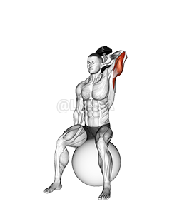 Dumbbell One Arm Triceps Extension on Stability Ball demonstration