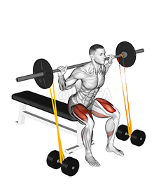 Barbell Front Split Squat - Muscle & Fitness